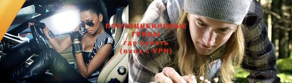 Альфа ПВП Кукмор