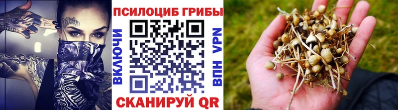 Купить где  Ленинградская  Галлюциногенные грибы прущие грибы